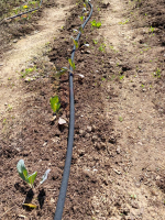 15m CS Soaker Hose Premium with Accessories